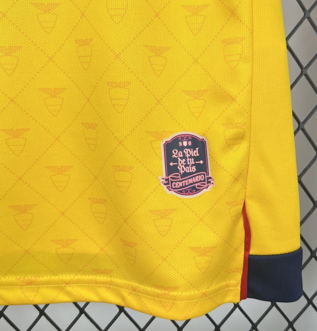 Ecuador National Football Team — La Tri’s Road to the World Cup