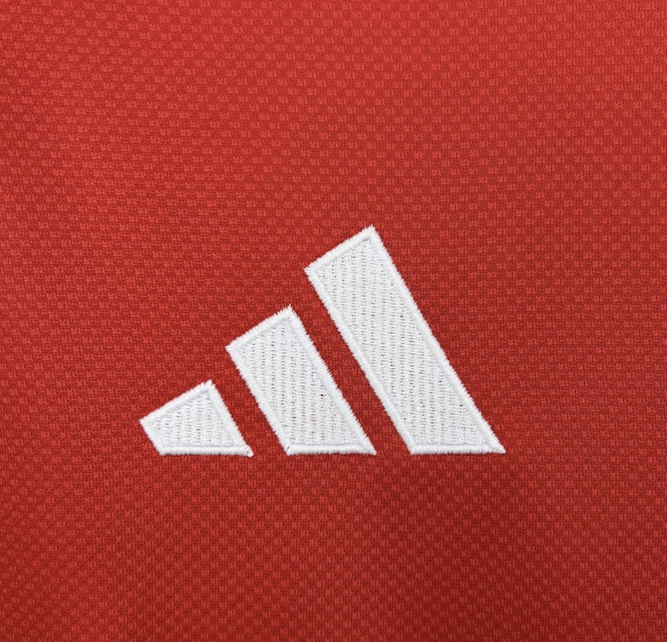 SL Benfica Fan Jersey 2025-2026 | Red Home Shirt – KickOff Club