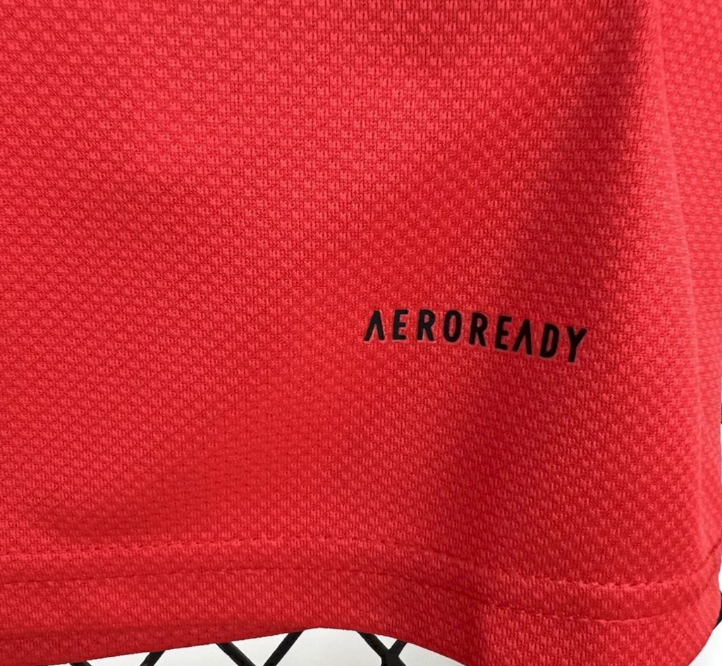 SL Benfica Fan Jersey 2025-2026 | Red Home Shirt – KickOff Club